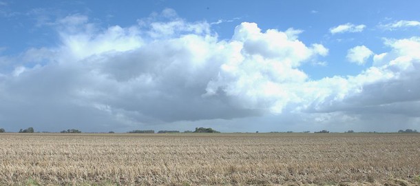 bannerArno7576landschap