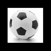 voetbal