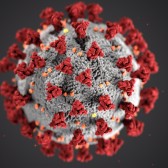 Coronavirus.jpg